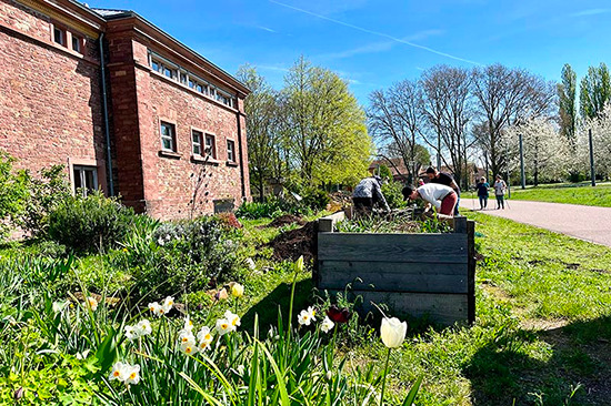 Hochbeete im Marstallgarten in Karlsruhe.