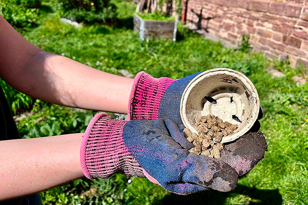 H&auml;nde mit Handschuhen und Schafwoll-Pellets