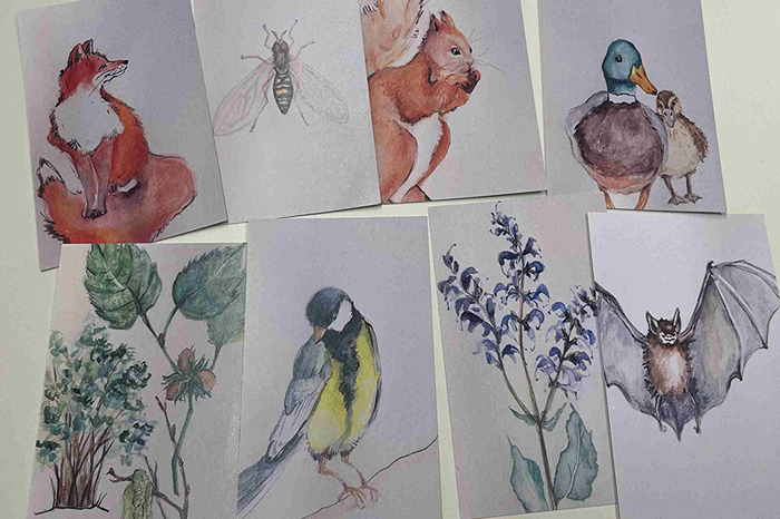 F&uuml;r das Projekt PerspekTIERwechsel gab es auch passende Tierkarten.