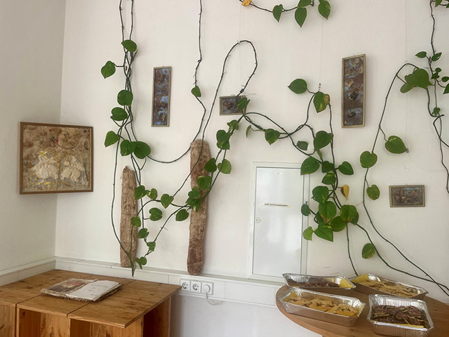 Wanddekoration mit Exponaten und einer kletternden Pflanze.